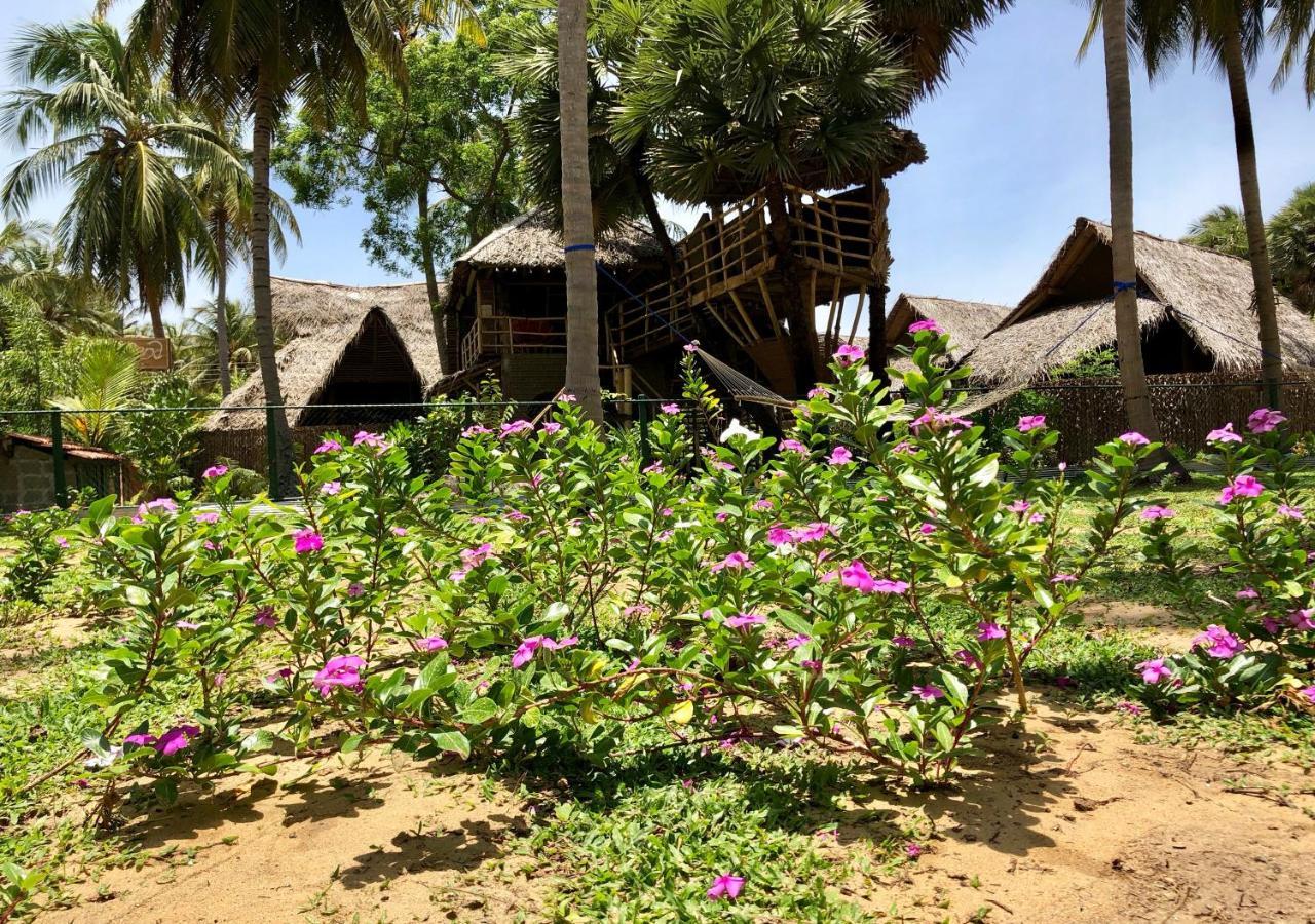 Wind Blend Kite Resort Kalpitiya Esterno foto